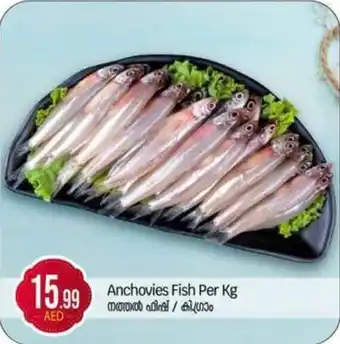 Bigmart Anchovies Fish offer