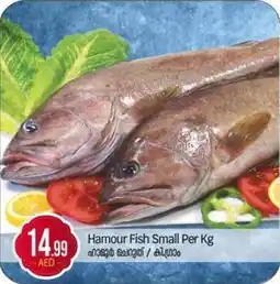 Bigmart Hamour Fish Small offer