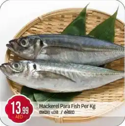 Bigmart Mackerel Para Fish offer