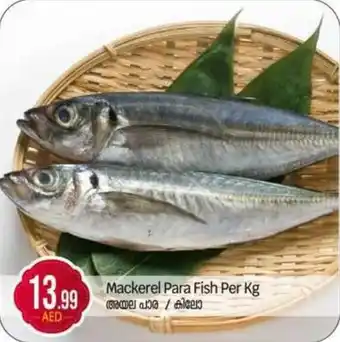 Bigmart Mackerel Para Fish offer