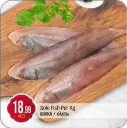 Bigmart Sole Fish offer