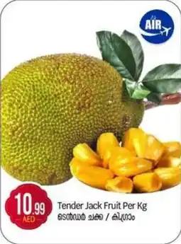 Bigmart Tender Jack Fruit offer