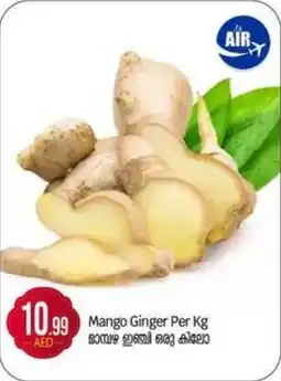 Bigmart Mango Ginger offer