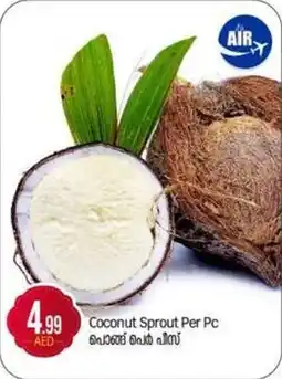 Bigmart Coconut Sprout offer