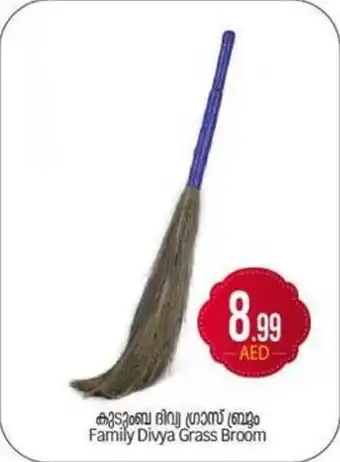 Bigmart Family Divya Grass Broom offer