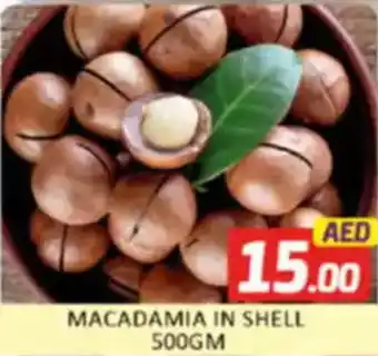 Al Madina Macadamia in Shell offer