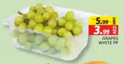 Al Madina Grapes White PP offer