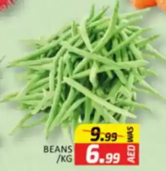 Al Madina Beans offer