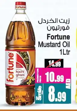 Ansar Gallery FORTUNE Mustard Oil offer