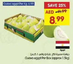 Gala Supermarket Guava Egypt offer