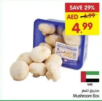 Gala Supermarket Mushroom Box offer