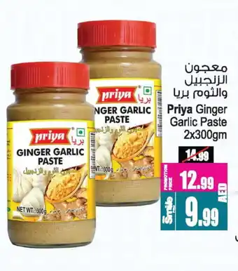 Ansar Gallery PRIYA Garlic Paste offer