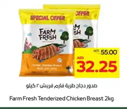 Megamart FARM FRESH Chicken Breast offer