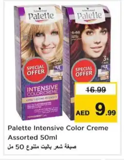 Nesto PALETTE Hair Colour offer