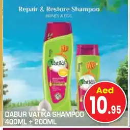 Baniyas Spike Hypermarket VATIKA Shampoo / Conditioner offer