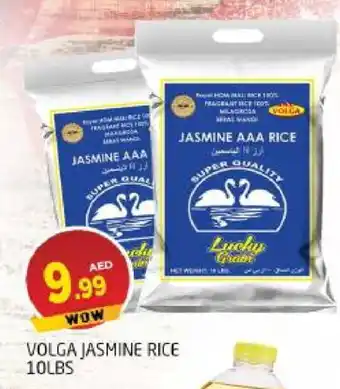 Al Madina VOLGA Jasmine Rice offer