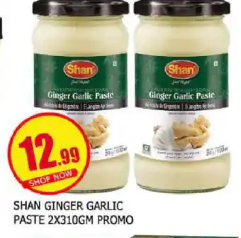 Al Madina SHAN Garlic Paste offer