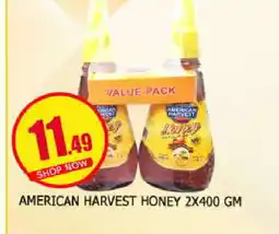 Al Madina AMERICAN HARVEST Honey offer