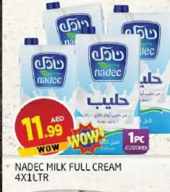 Al Madina NADEC Full Cream Milk offer