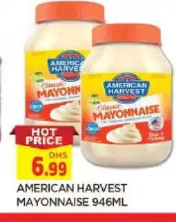 Al Madina AMERICAN HARVEST Mayonnaise offer