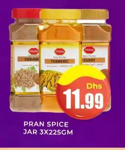 Meena Al Madina Hypermarket PRAN Spices / Masala offer