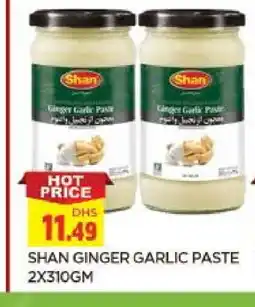 Al Madina SHAN Garlic Paste offer