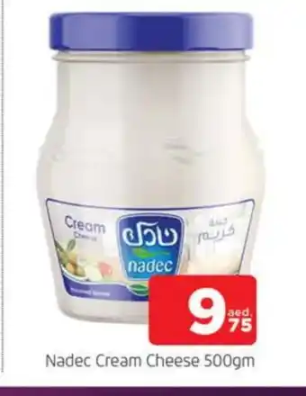 Al Madina NADEC Cream Cheese offer