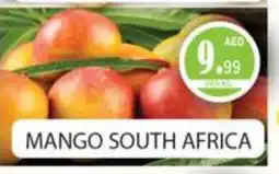 Gulf Hypermarket Mango Mango offer