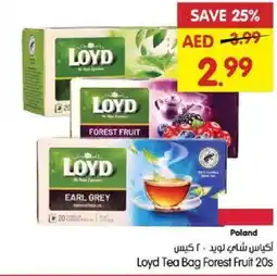 Gala Supermarket Loyd Tea Bag Forest Fruit offer