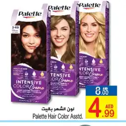 Sun and Sand Hypermarket PALETTE Hair Colour offer