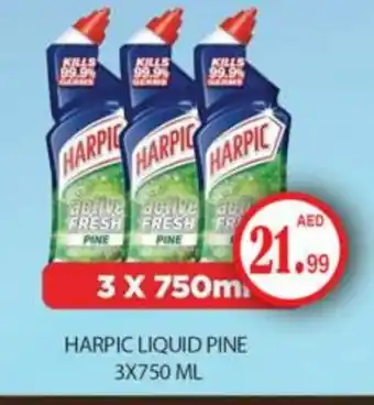 Gulf Hypermarket HARPIC Toilet / Drain Cleaner offer