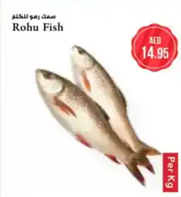 Almaya supermarket Ru Fish offer