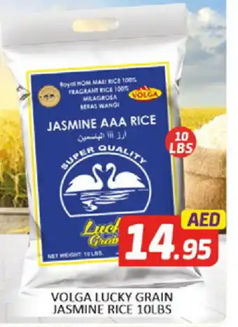 Al Madina VOLGA Jasmine Rice offer