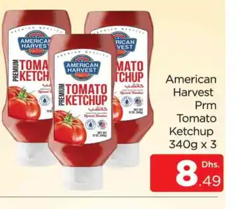 Al Madina AMERICAN HARVEST Tomato Ketchup offer