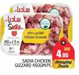 Pasons SADIA Chicken Gizzard offer