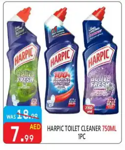 United Hypermarket HARPIC Toilet / Drain Cleaner offer