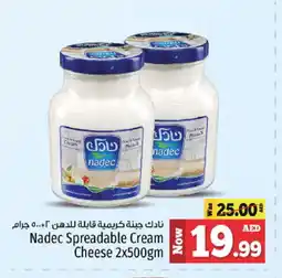 Kenz Hypermarket NADEC Cream Cheese offer