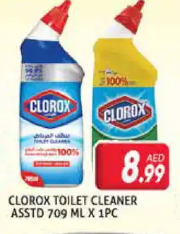 Palm Centre CLOROX Toilet / Drain Cleaner offer