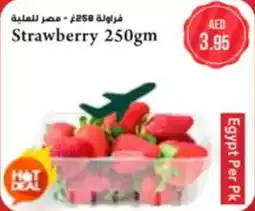 Almaya supermarket Strawberry offer