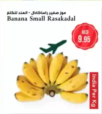 Almaya supermarket Banana Small Rasakadal offer