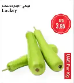 Almaya supermarket Lockey offer