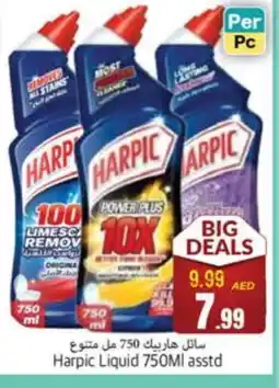 Pasons HARPIC Toilet / Drain Cleaner offer