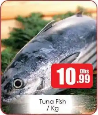 Amber Tuna Fish offer