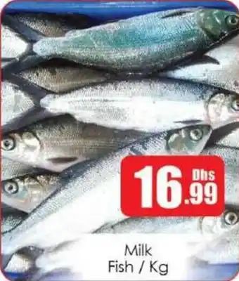 Amber Milk Fish offer