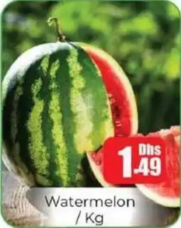 Amber Watermelon offer