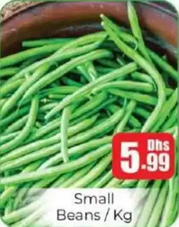 Amber Small Beans offer