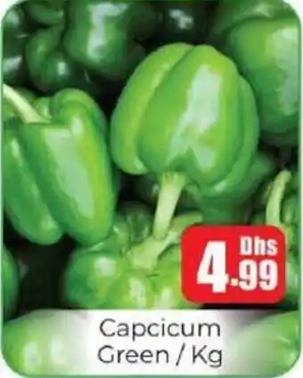 Amber Capcicum Green offer