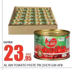 Bismi Wholesale AL AIN Tomato Paste offer