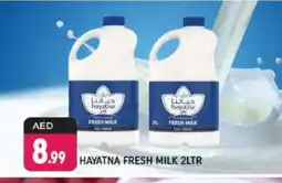 Shaklan HAYATNA Fresh Milk offer