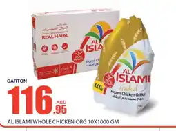 Bismi Wholesale AL ISLAMI Frozen Whole Chicken offer